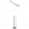 Трековый подвесной светильник MAYTONI FOCUS LED TR041-2-12W3K-W