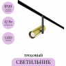 Трековый светильник MAYTONI ELTI TR005-2-12W3K-BBS