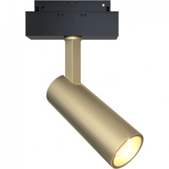 Трековый светильник MAYTONI FOCUS LED TR019-2-10W3K-MG