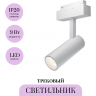 Трековый светильник MAYTONI FOCUS LED TR019-2-10W3K-W